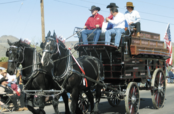 Fiesta Days Bison Ranch